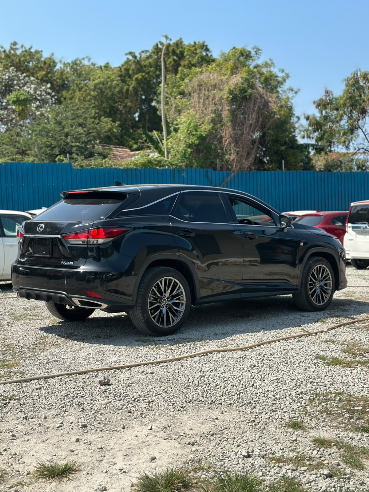 LEXUS RX300