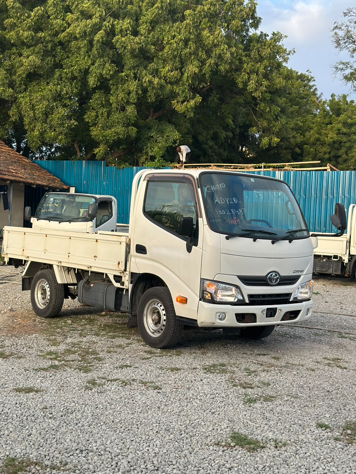 TOYOTA DYNA